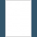 Etykiety samoprzylepne Leon1/P 200x287 mm