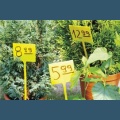 Tabliczka ogrodnicza plastikowa  KP100-85